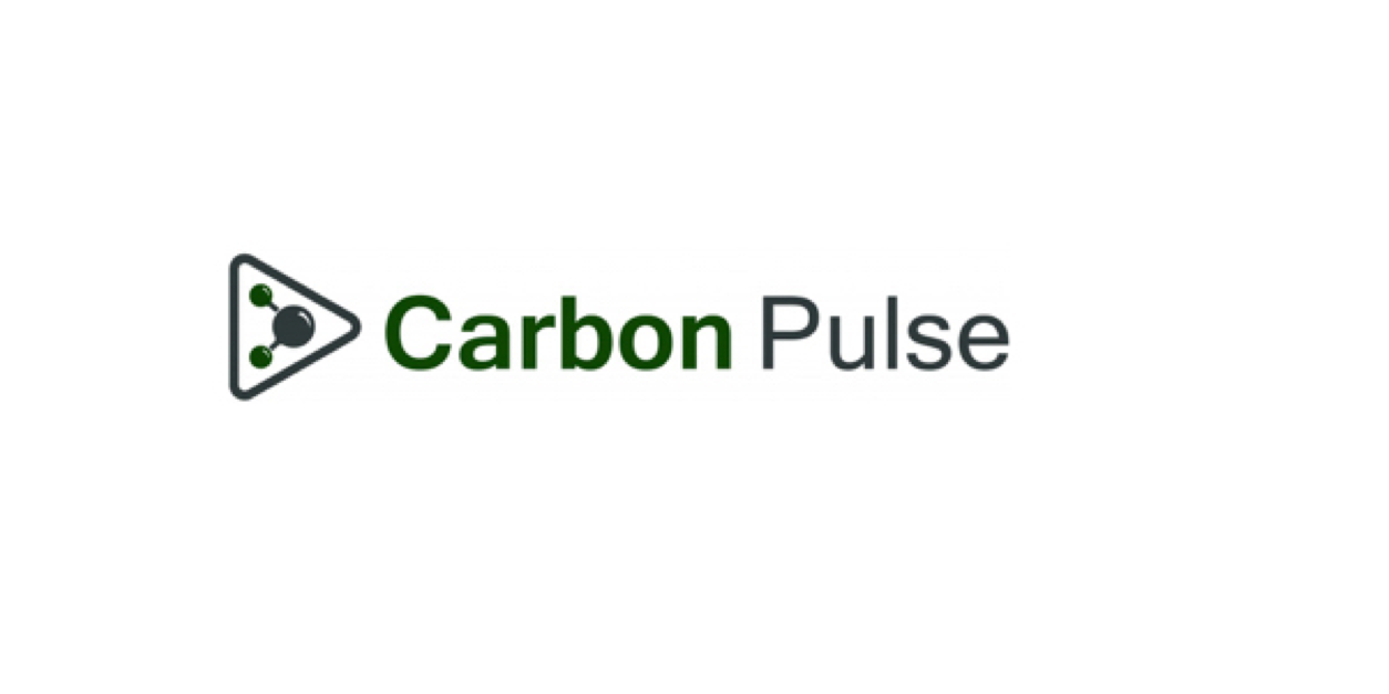 carbon-pulse-1254x627